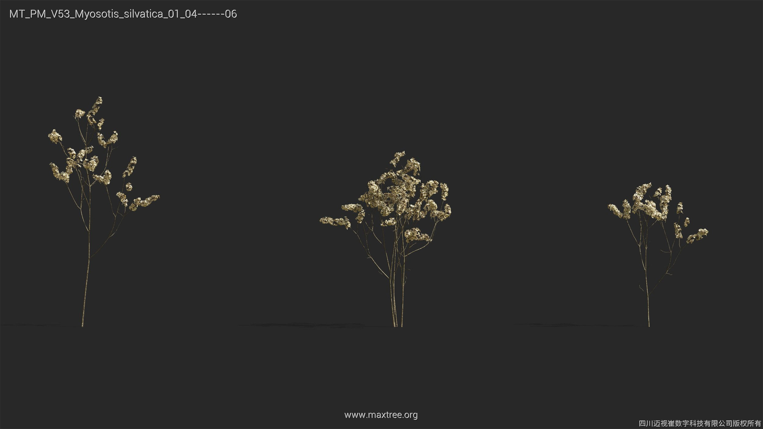 Maxtree Plant Models Vol 53 - Mesh 3D model_33