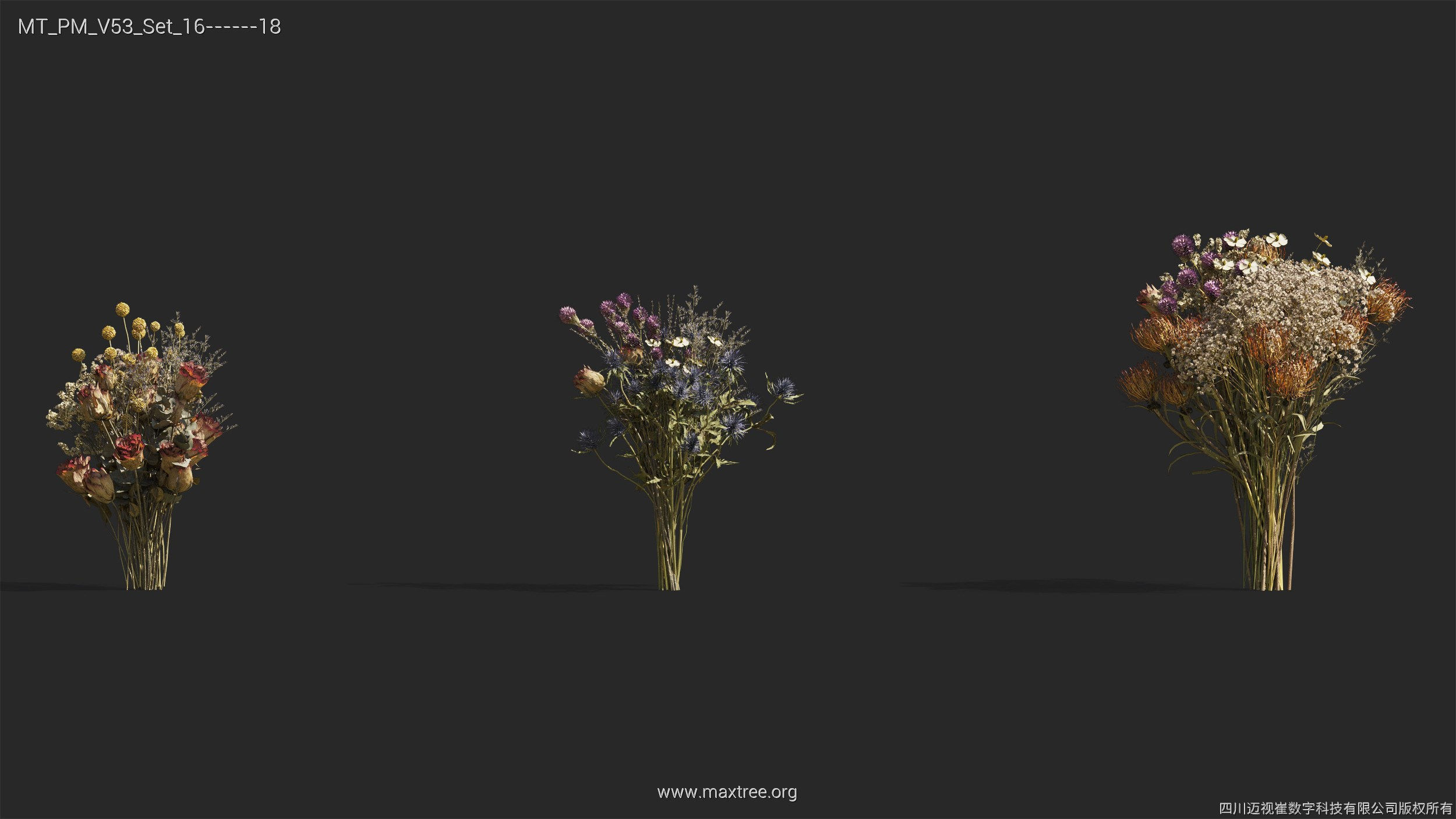 Maxtree Plant Models Vol 53 - Mesh 3D model_41