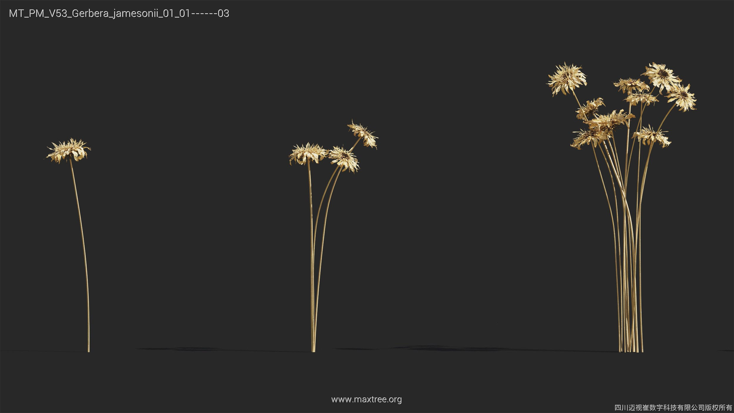 Maxtree Plant Models Vol 53 - Mesh 3D model_20