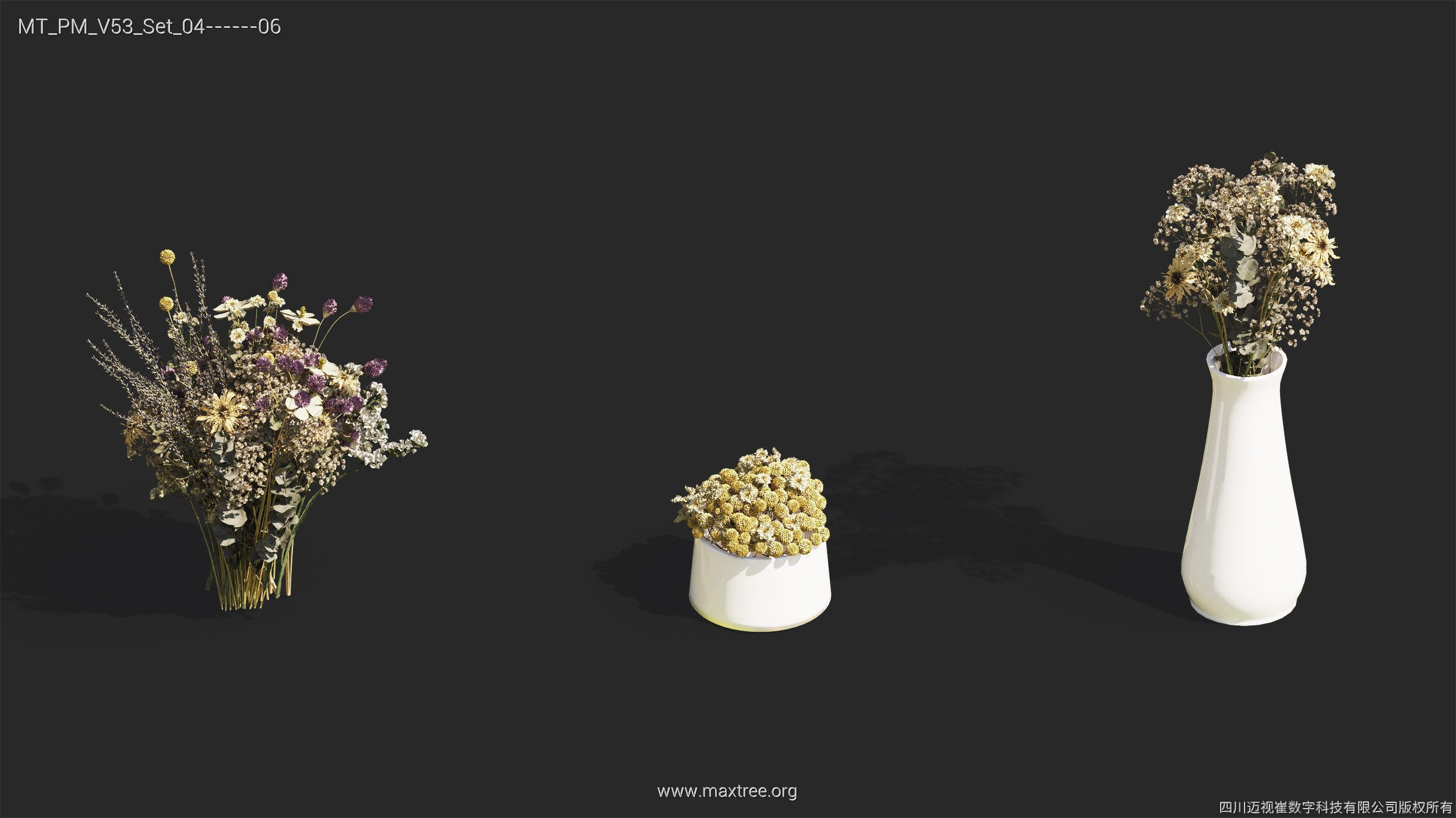 Maxtree Plant Models Vol 53 - Mesh 3D model_37