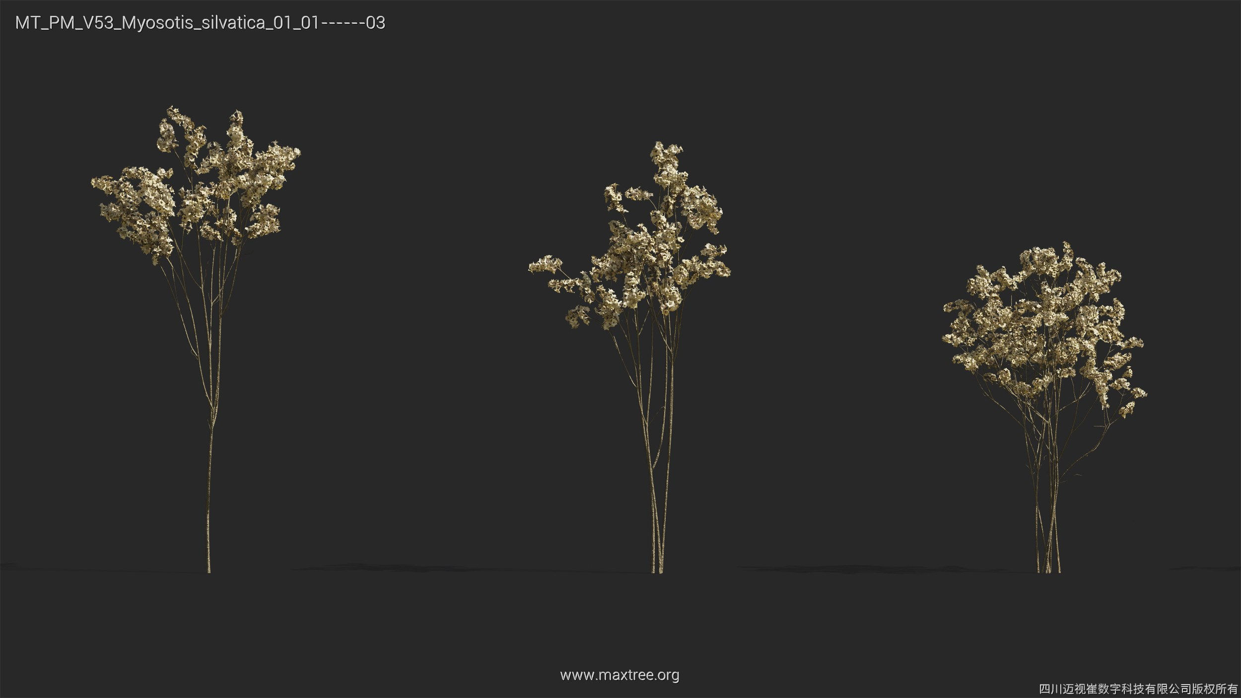Maxtree Plant Models Vol 53 - Mesh 3D model_32