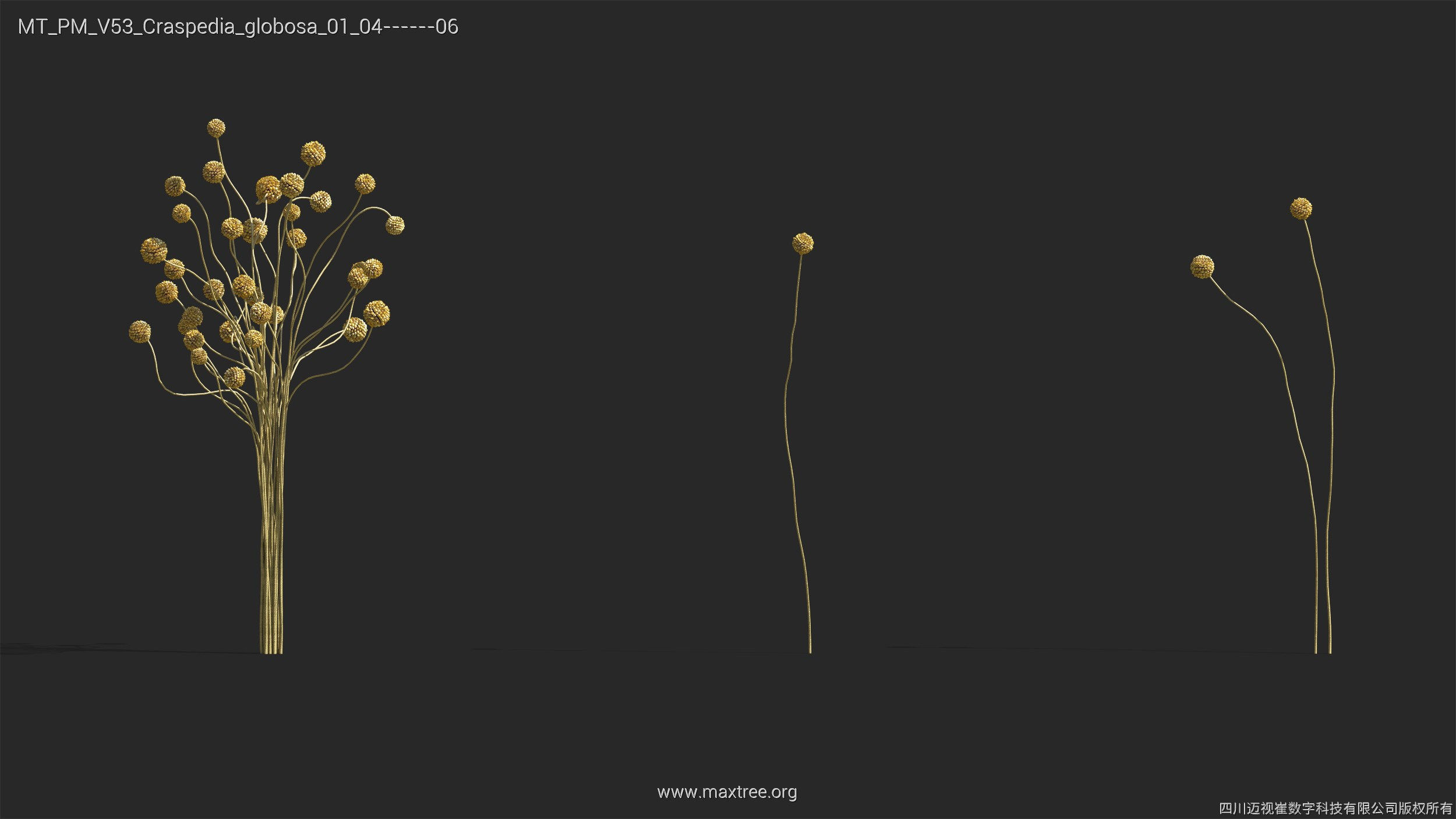 Maxtree Plant Models Vol 53 - Mesh 3D model_9