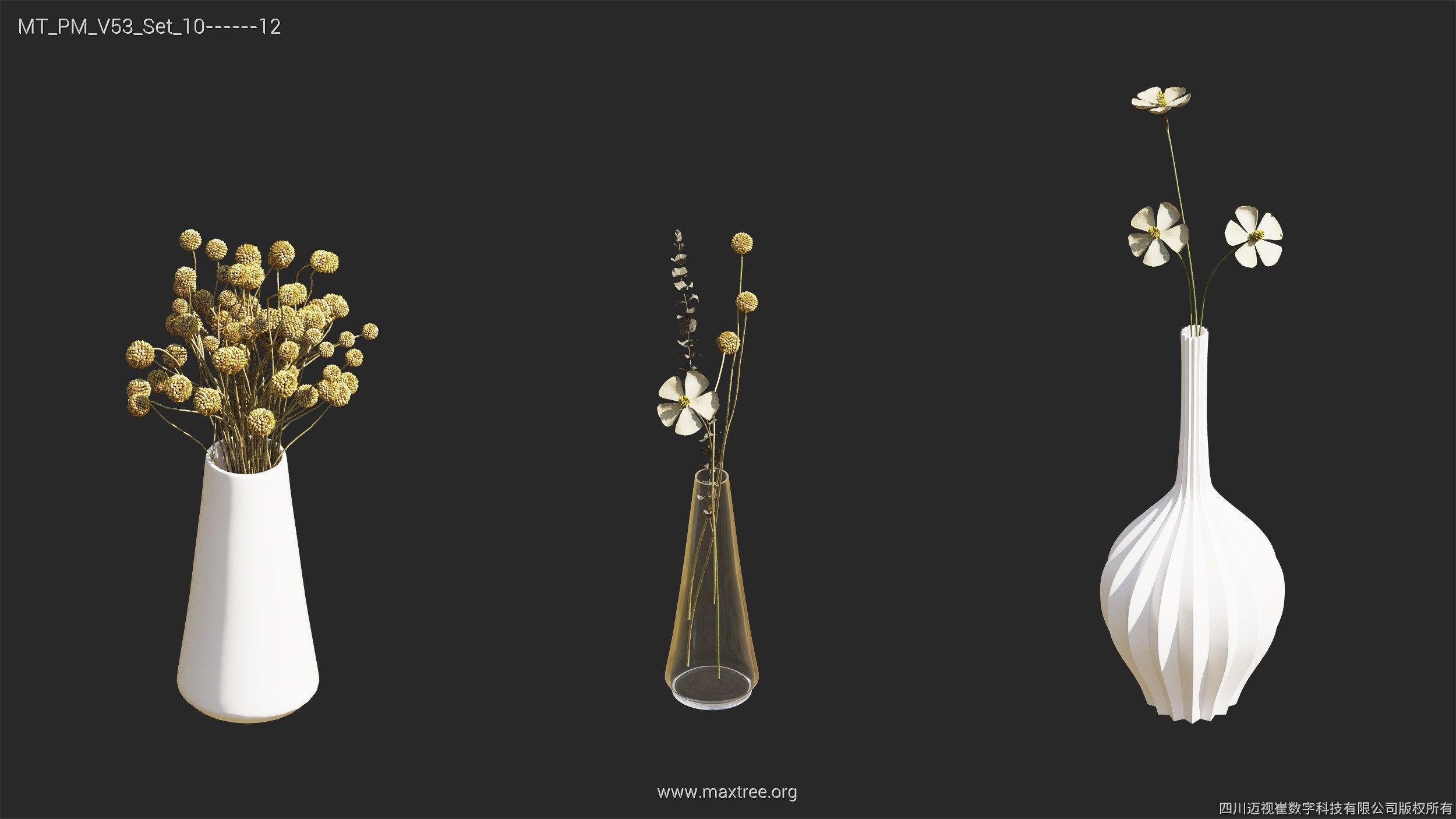 Maxtree Plant Models Vol 53 - Mesh 3D model_39