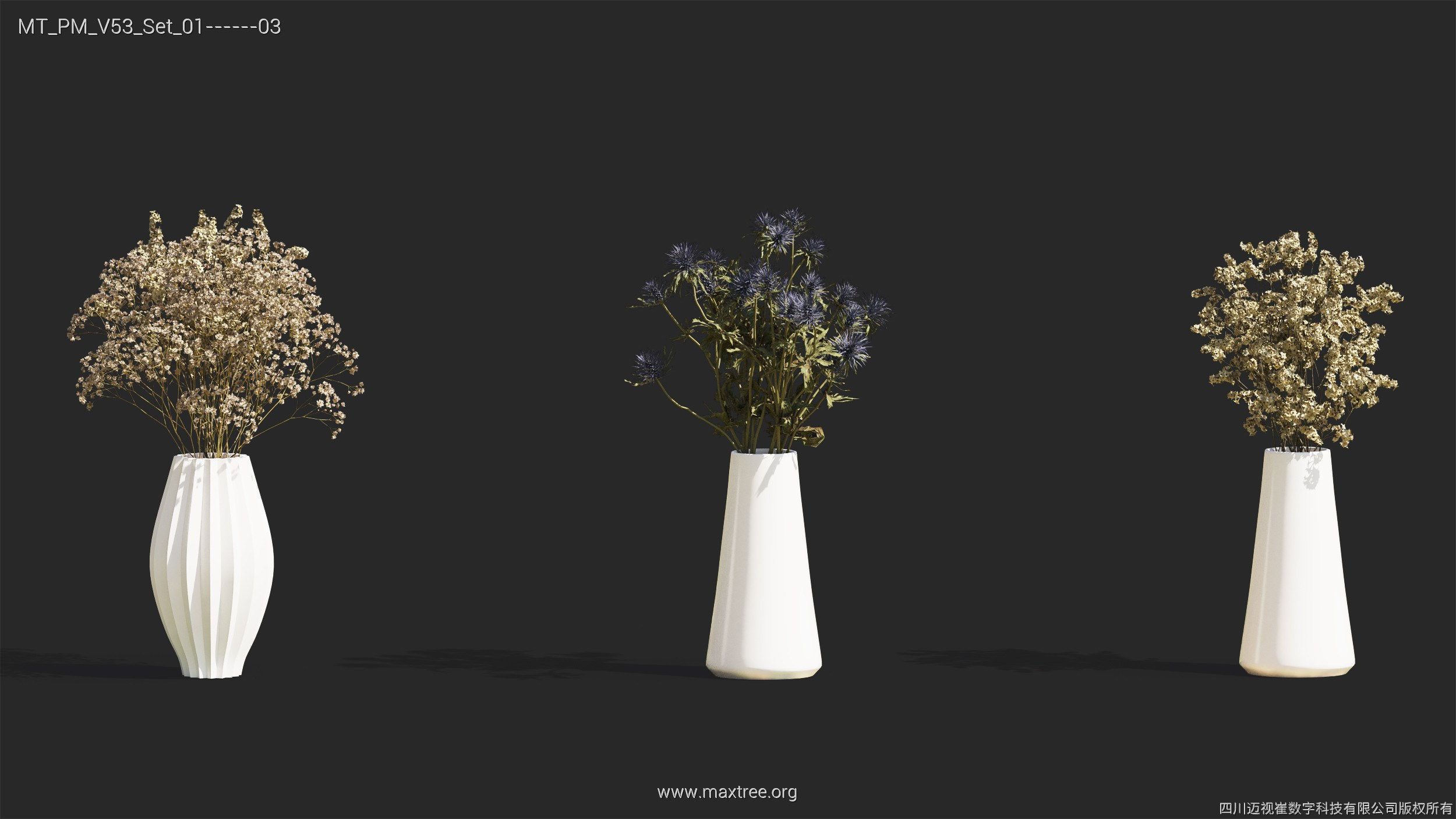 Maxtree Plant Models Vol 53 - Mesh 3D model_36