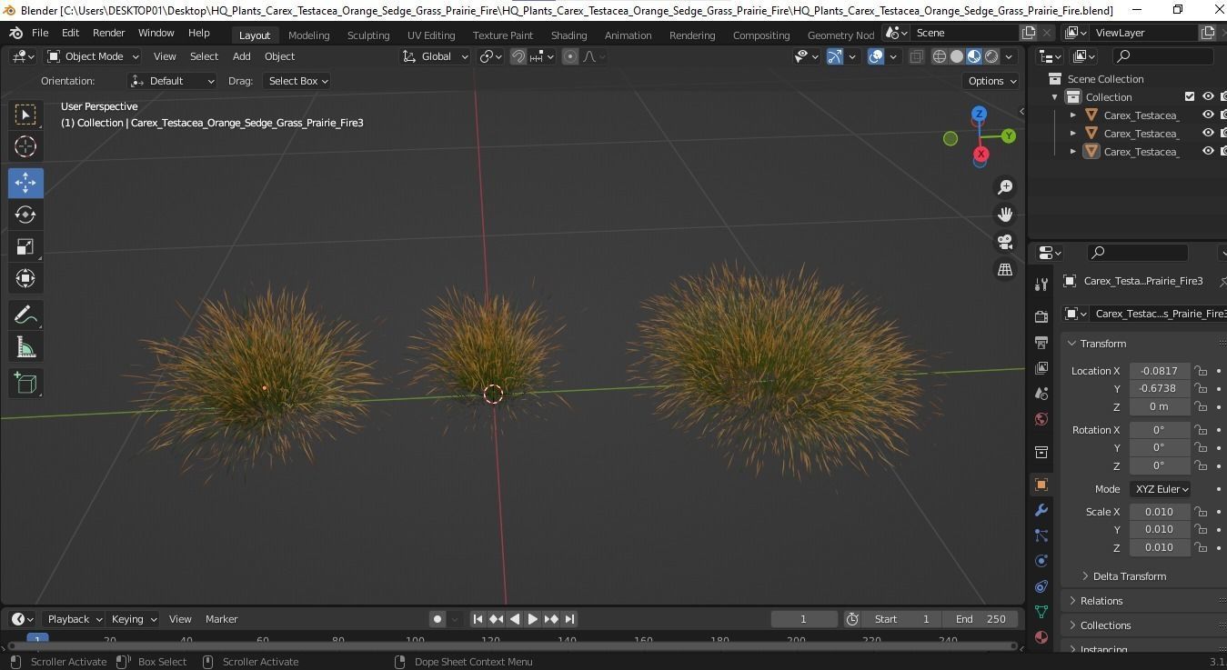 Plants Carex Testacea Orange Sedge Grass Prairie Fire 3D model_4