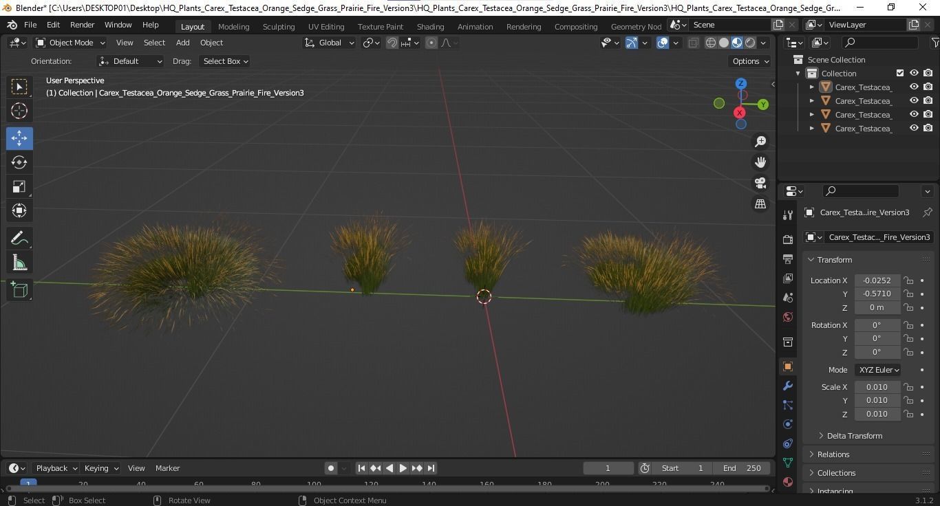 Plants Carex Testacea Orange Sedge Grass Prairie Fire Version3 3D model_5
