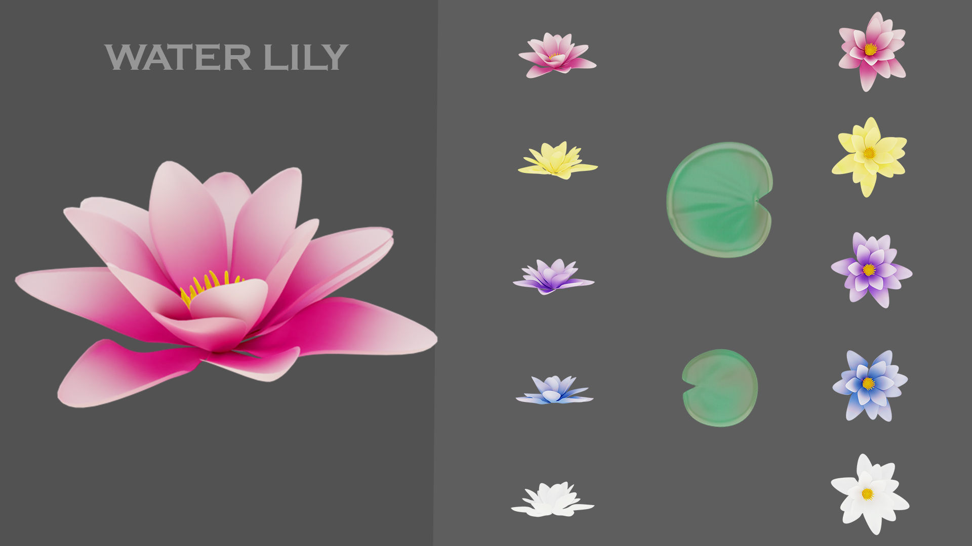 11 TYPE OF GARDEN FLOWERS with leaves Low-poly 3D model_7