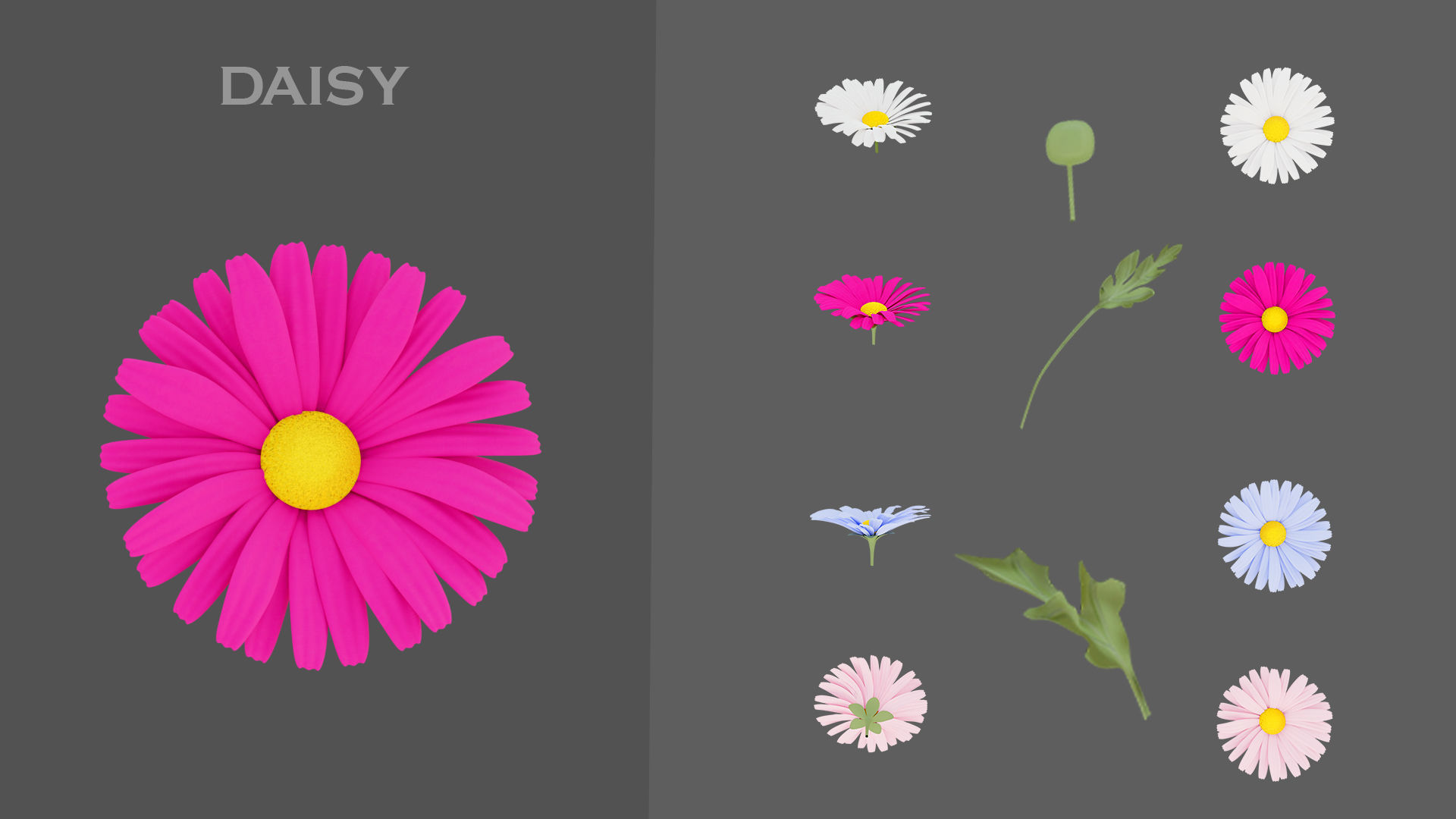 11 TYPE OF GARDEN FLOWERS with leaves Low-poly 3D model_3