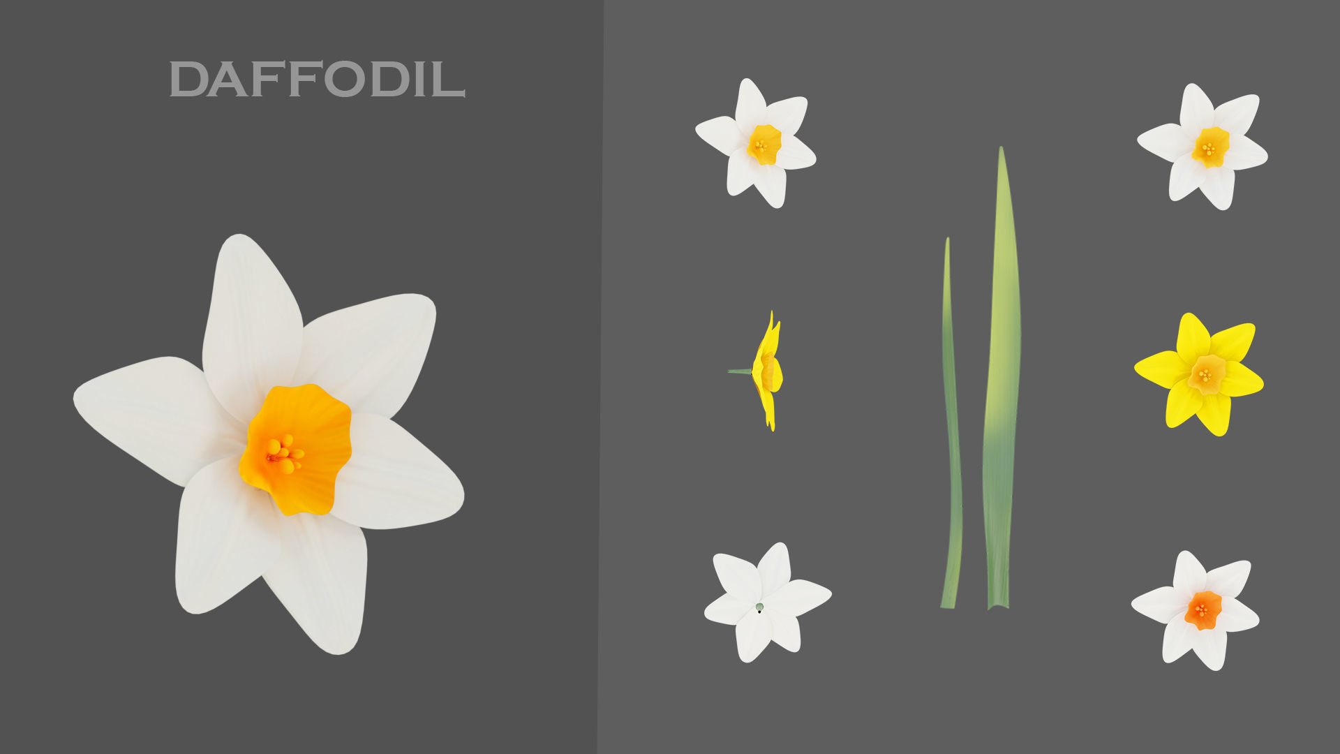 11 TYPE OF GARDEN FLOWERS with leaves Low-poly 3D model_8