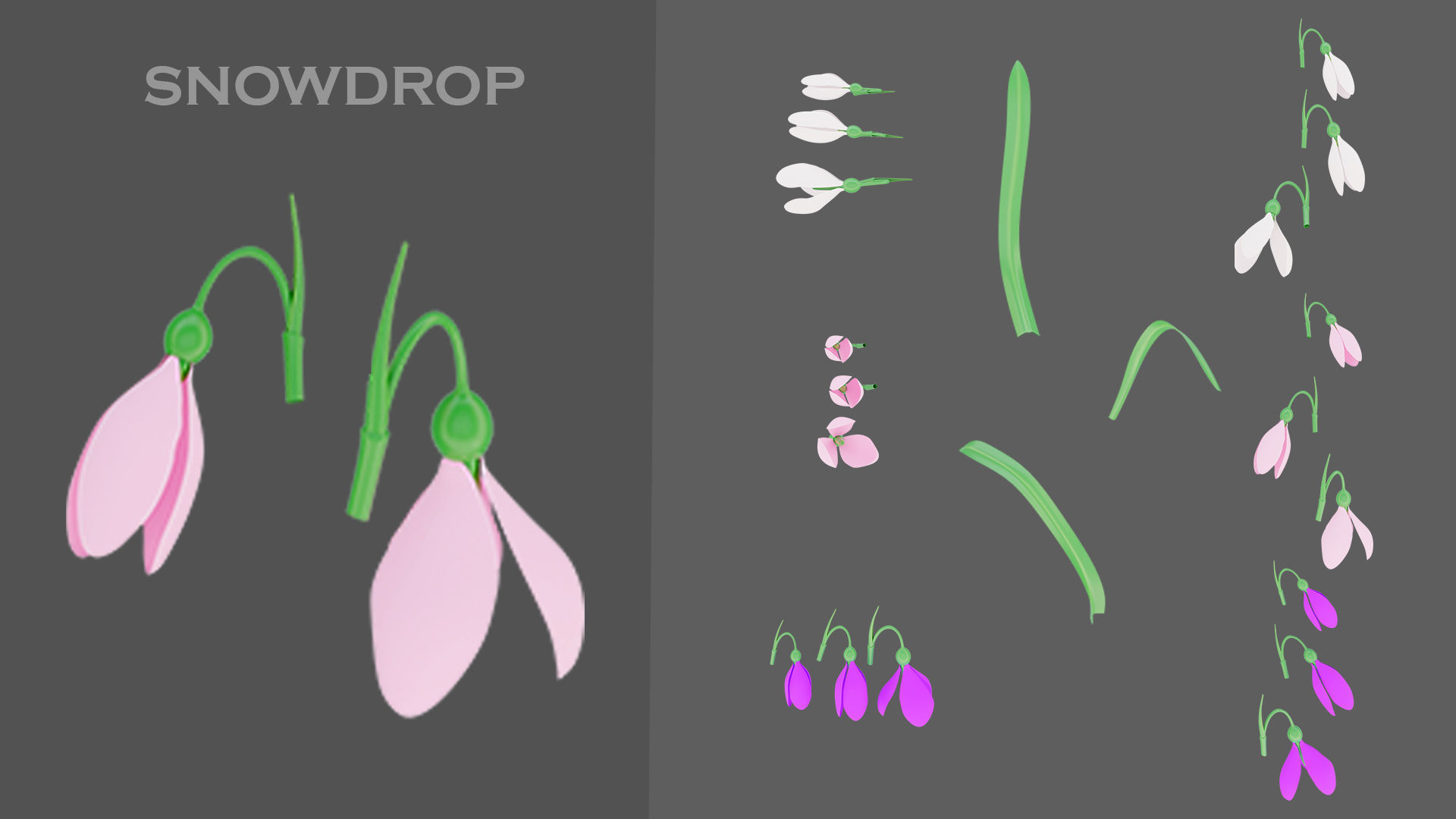 11 TYPE OF GARDEN FLOWERS with leaves Low-poly 3D model_10