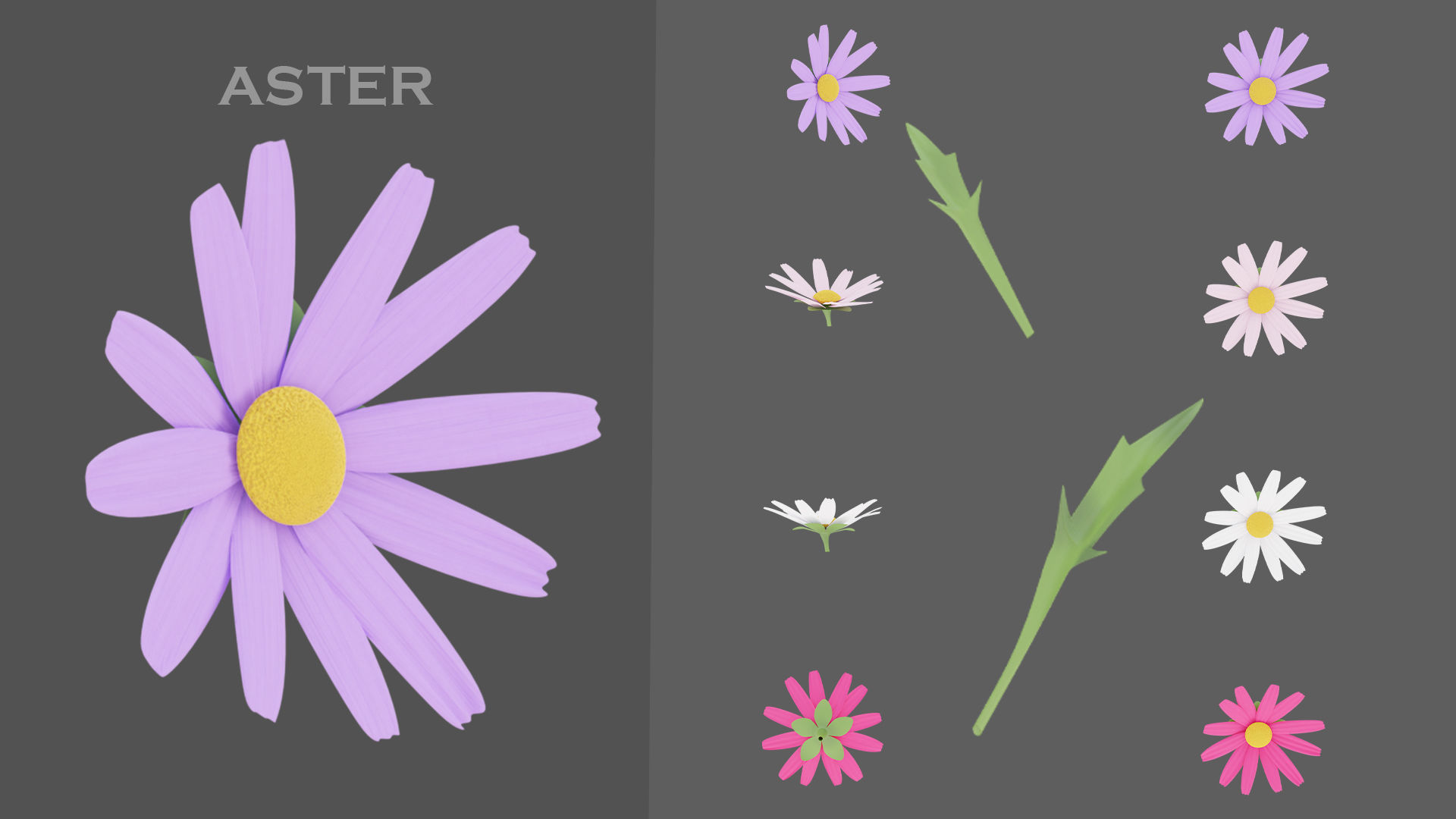 11 TYPE OF GARDEN FLOWERS with leaves Low-poly 3D model_9