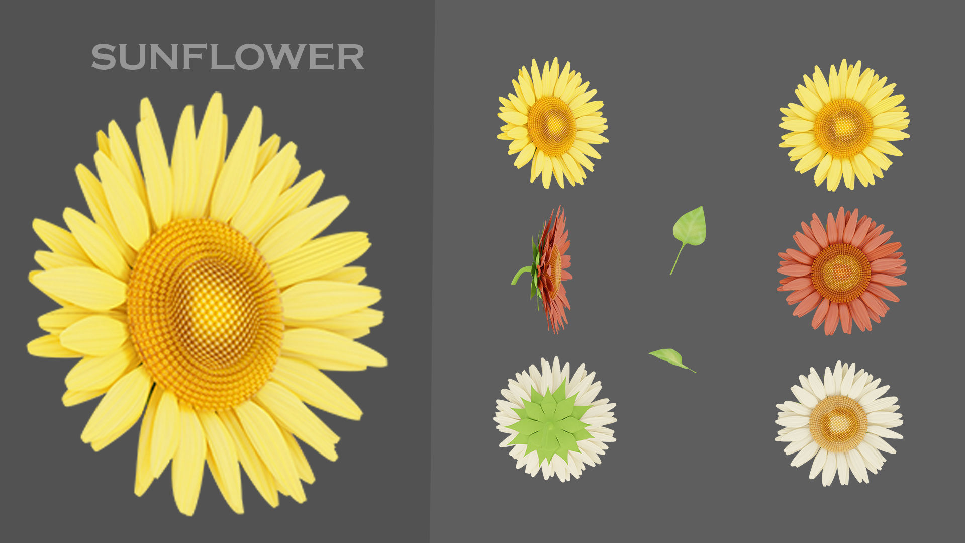 11 TYPE OF GARDEN FLOWERS with leaves Low-poly 3D model_11