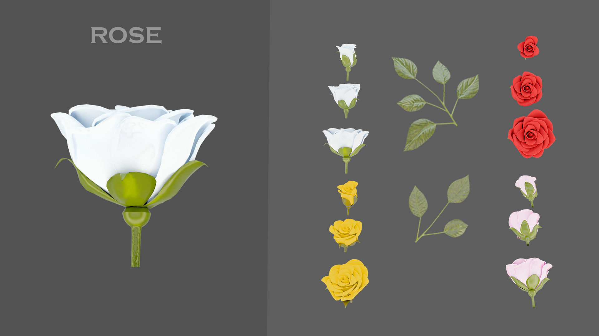 11 TYPE OF GARDEN FLOWERS with leaves Low-poly 3D model_2