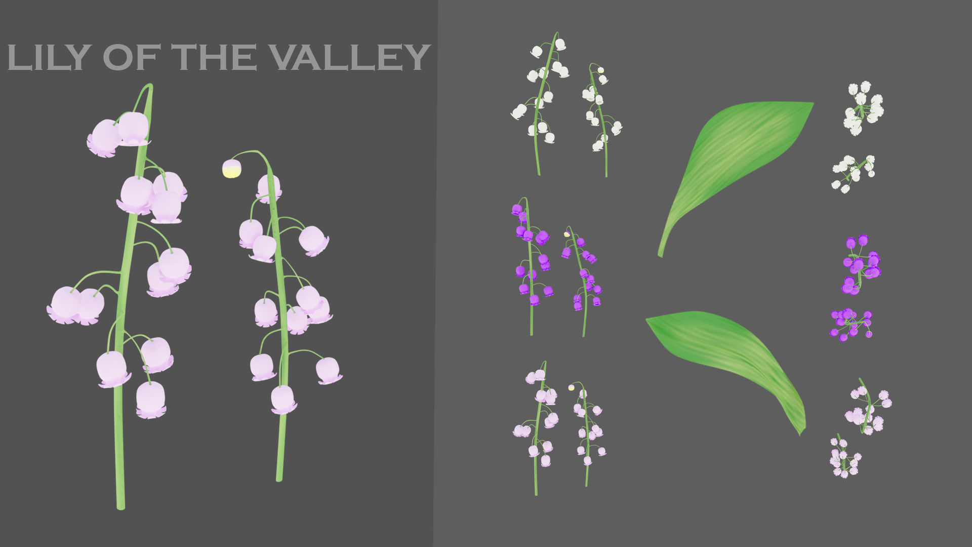 11 TYPE OF GARDEN FLOWERS with leaves Low-poly 3D model_4