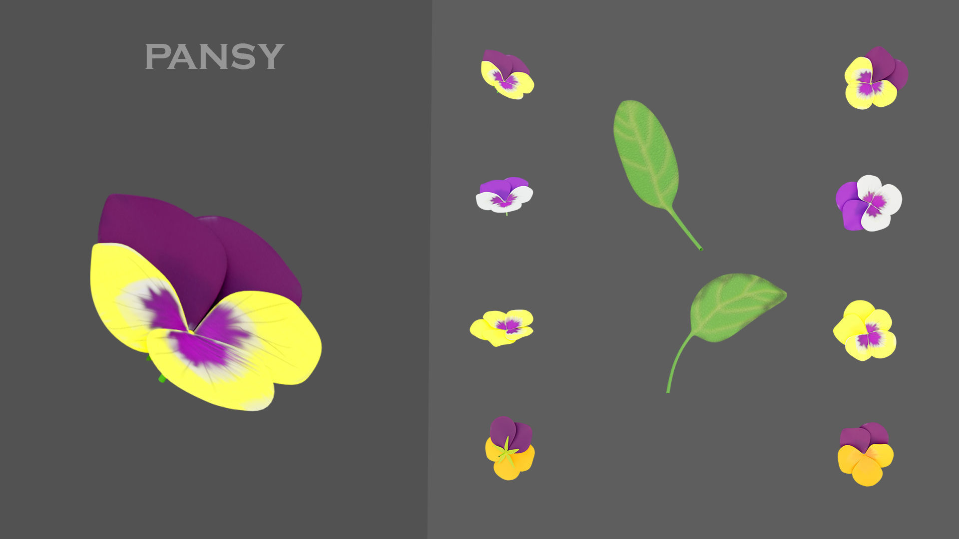 11 TYPE OF GARDEN FLOWERS with leaves Low-poly 3D model_5