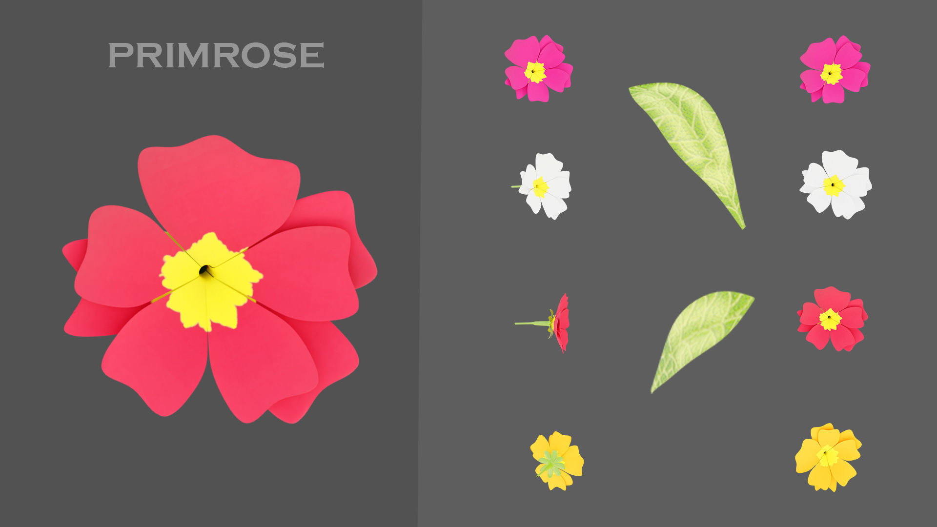 11 TYPE OF GARDEN FLOWERS with leaves Low-poly 3D model_6