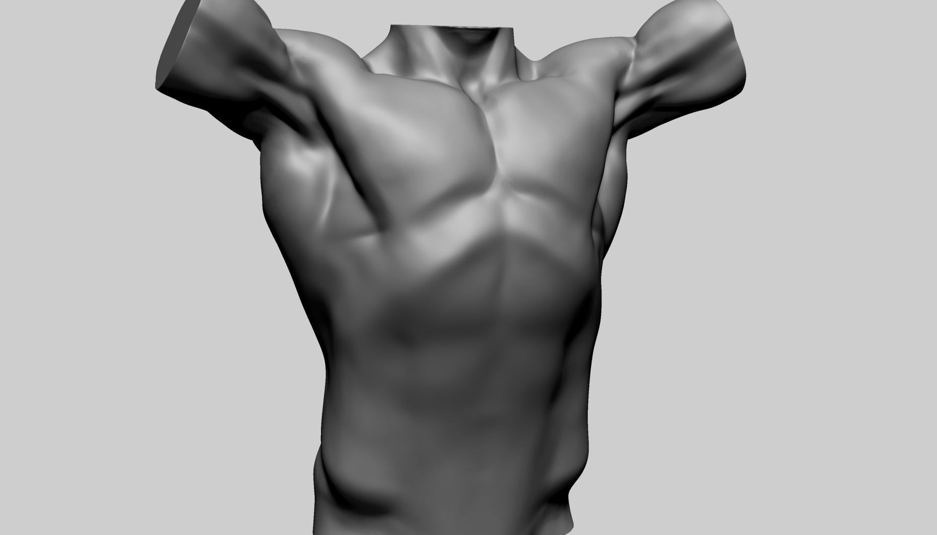 Base Male Torso A 3D model_10