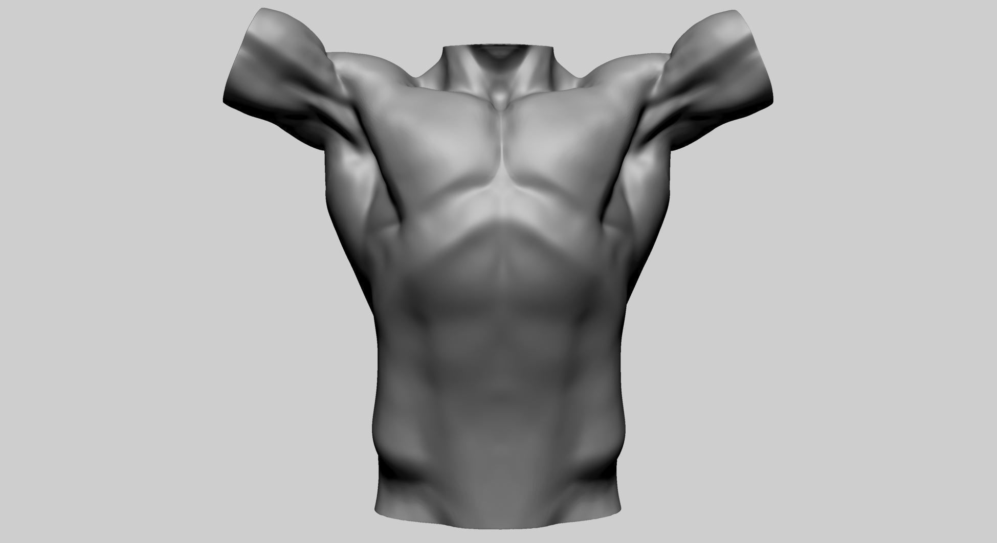 Base Male Torso A 3D model_1