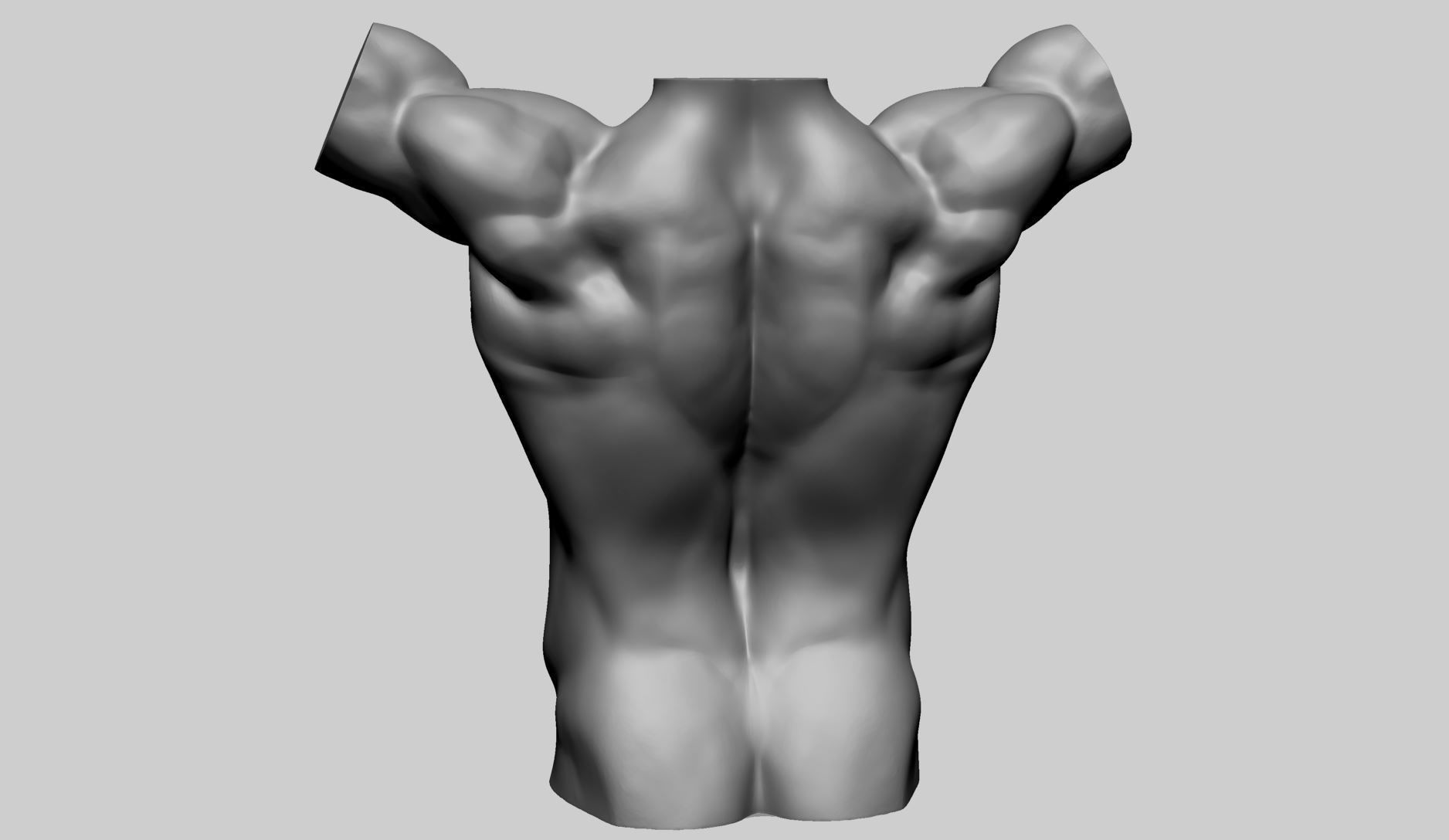 Base Male Torso A 3D model_5