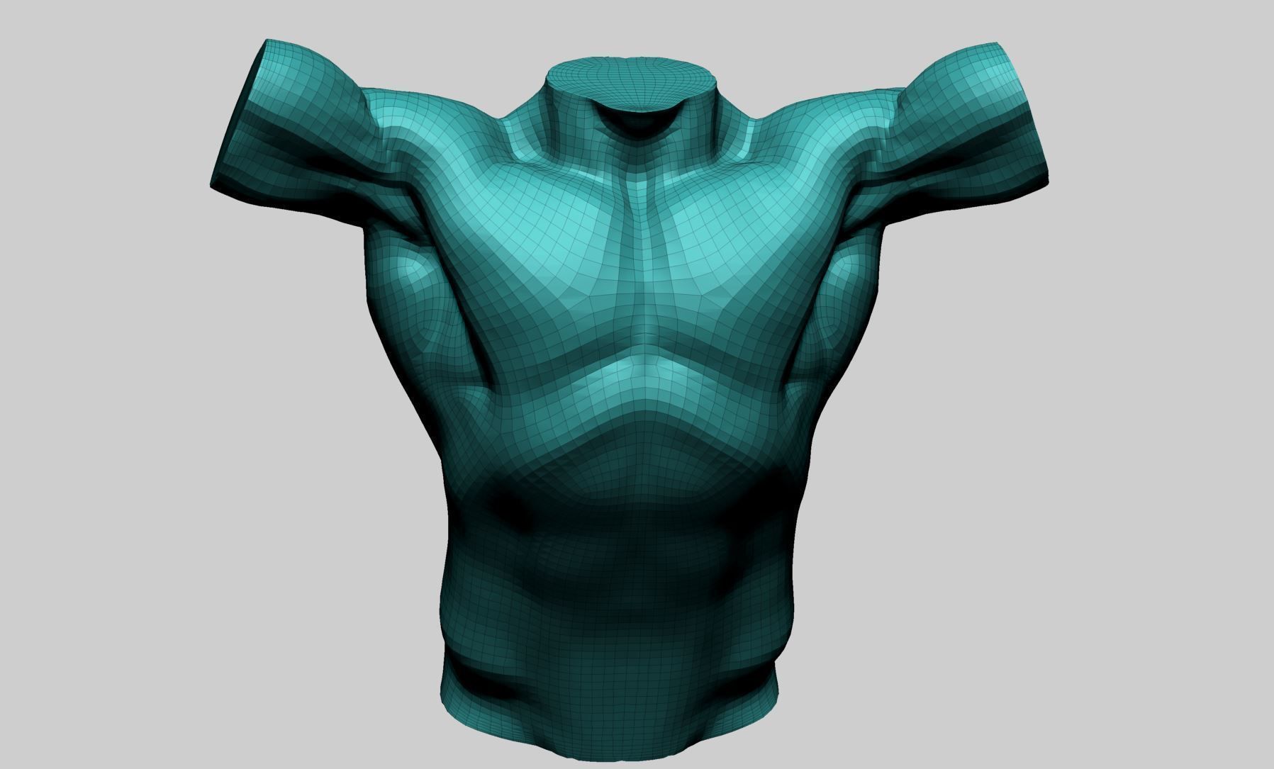 Base Male Torso A 3D model_12