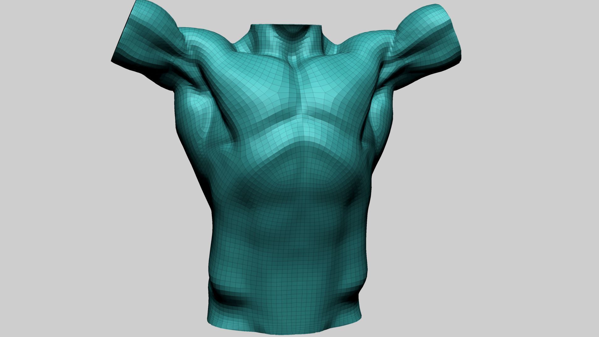 Base Male Torso A 3D model_11