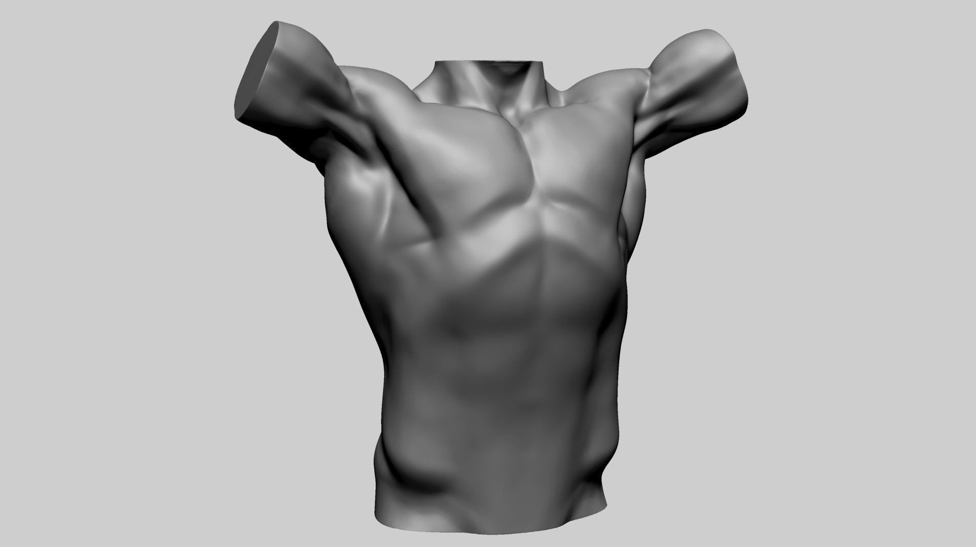 Base Male Torso A 3D model_3