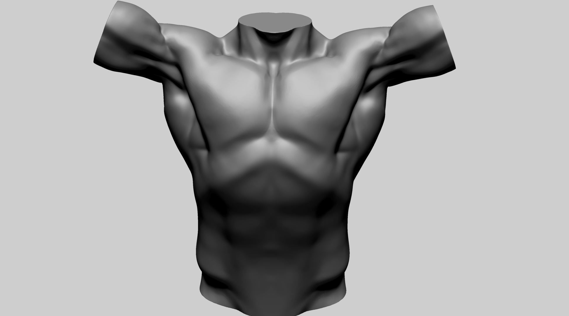 Base Male Torso A 3D model_8