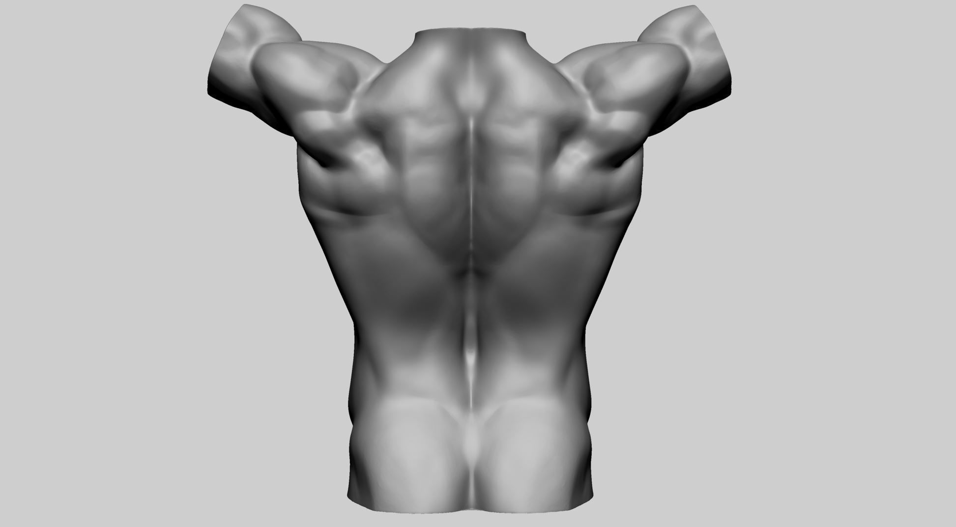 Base Male Torso A 3D model_2