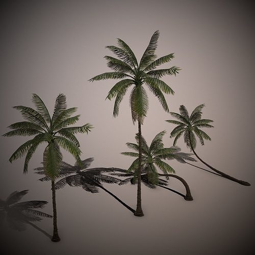 Palm Trees Pack Low-poly 3D model Low-poly 3D model
