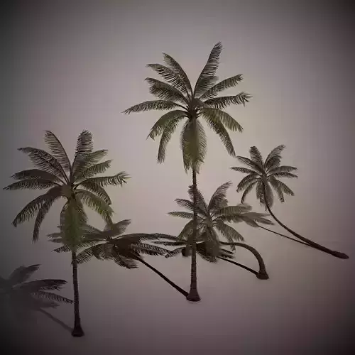 Palm Trees Pack Low-poly 3D model Low-poly 3D model