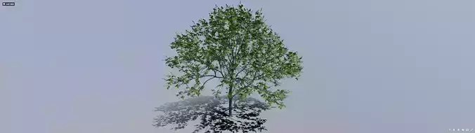 Tree 001 Free 3D model
