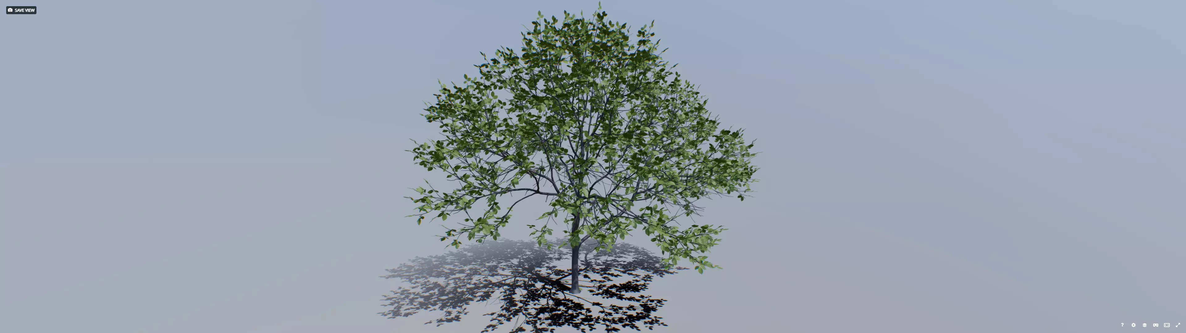 Tree 001 Free 3D model_0