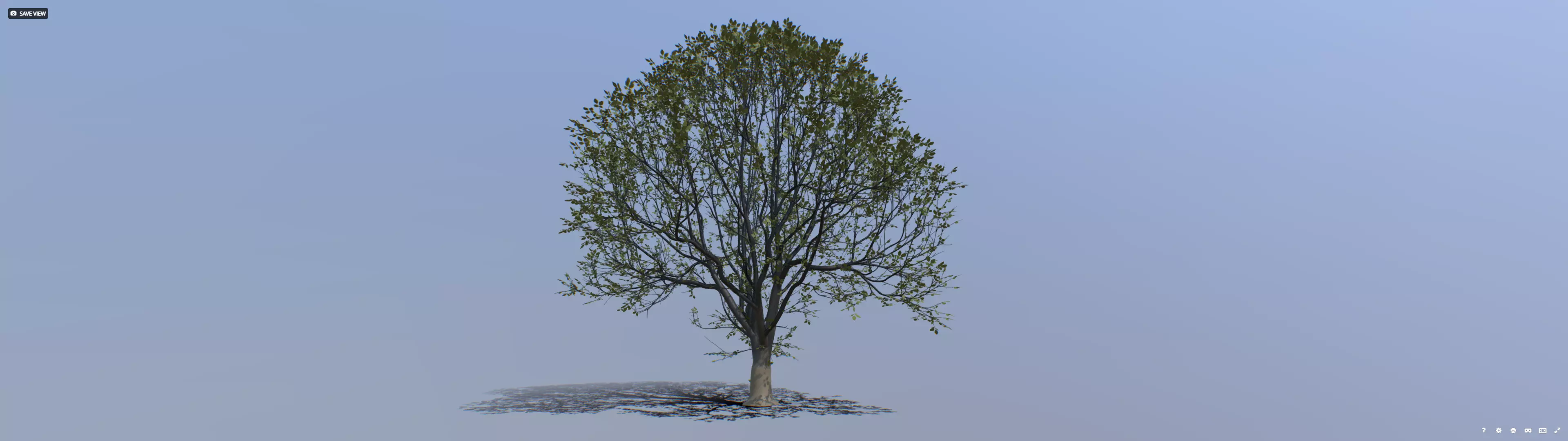 Tree 002 Free 3D model
