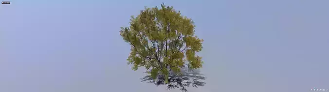 tree 006 Free 3D model