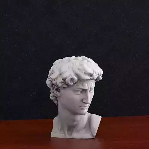David Head 3D print model