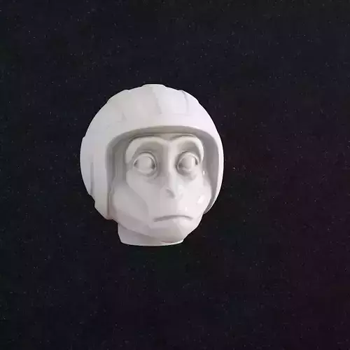 Monkey Head in a helmet 3D print model