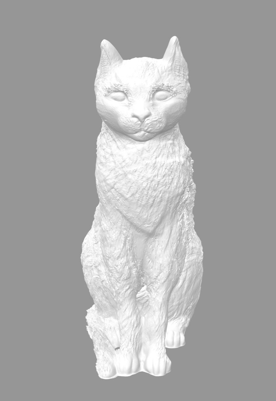 Cat for 3d printing 3D print model 3D model_1