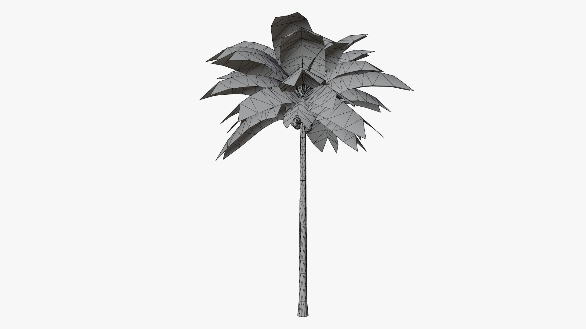 Lowpoly Coconut Palm v1 Low-poly 3D model_8