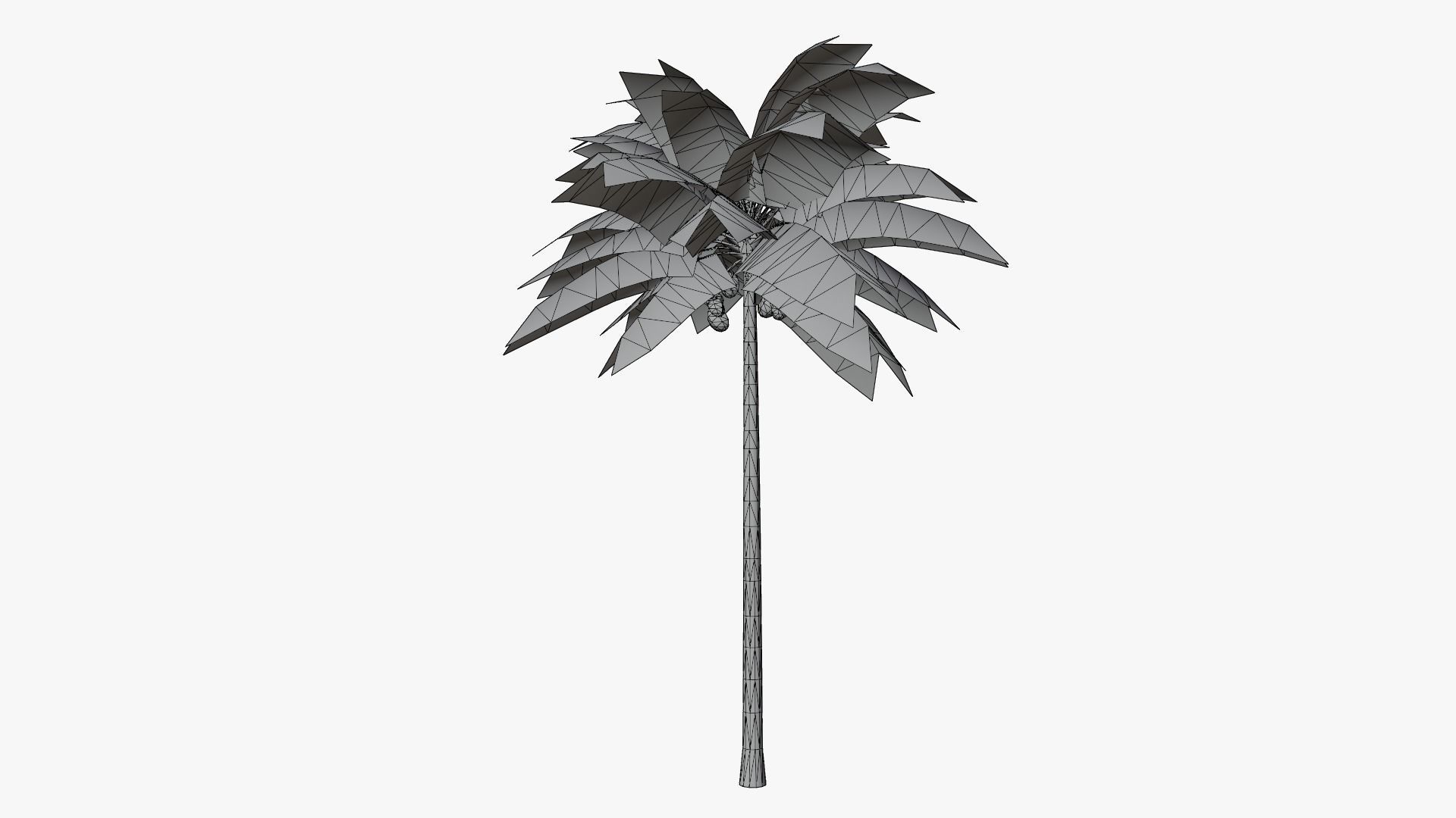Lowpoly Coconut Palm v1 Low-poly 3D model_2