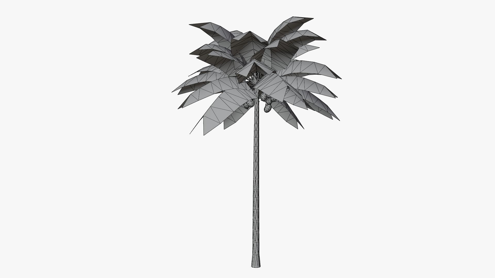 Lowpoly Coconut Palm v1 Low-poly 3D model_11