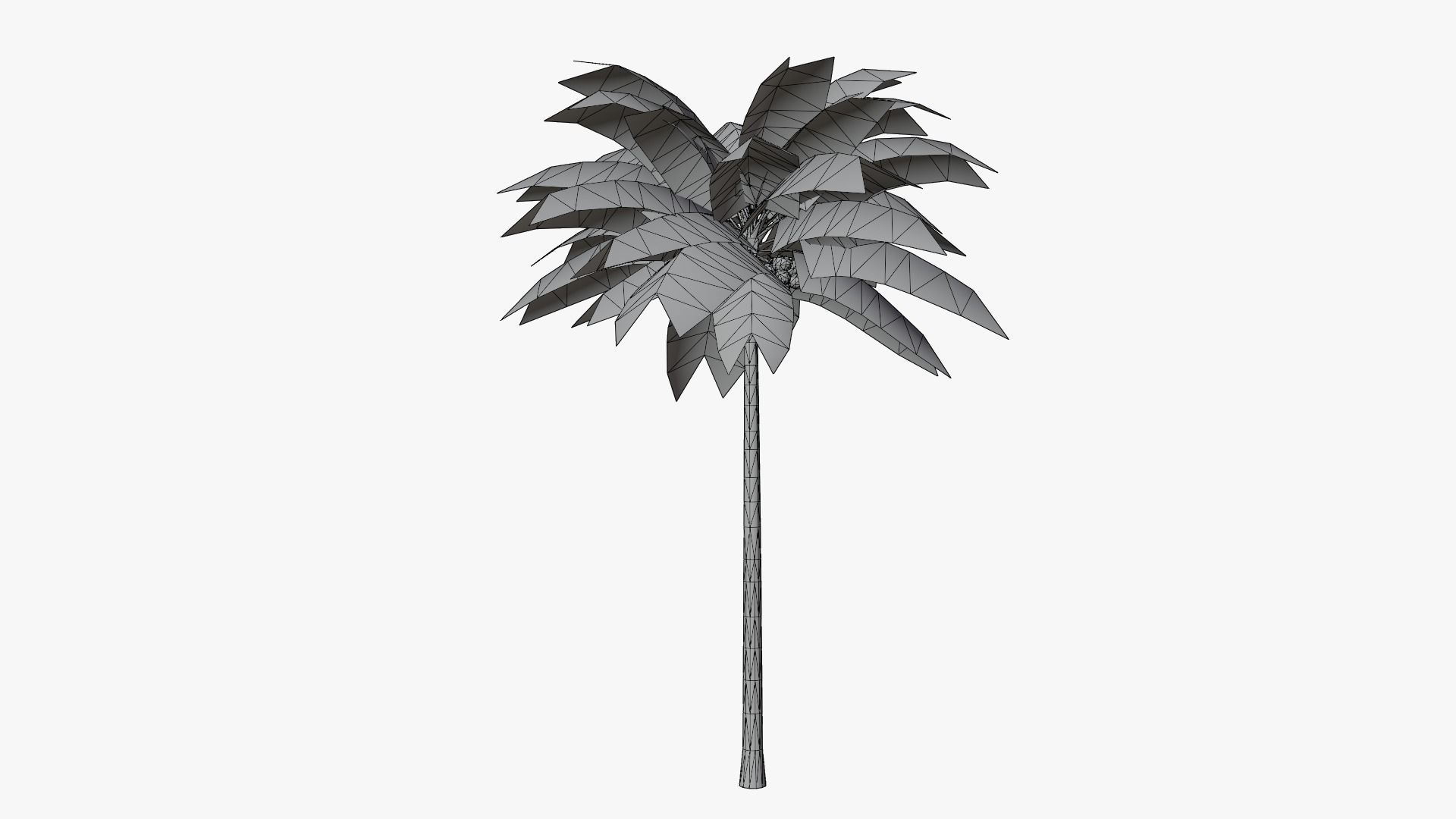 Lowpoly Coconut Palm v1 Low-poly 3D model_5