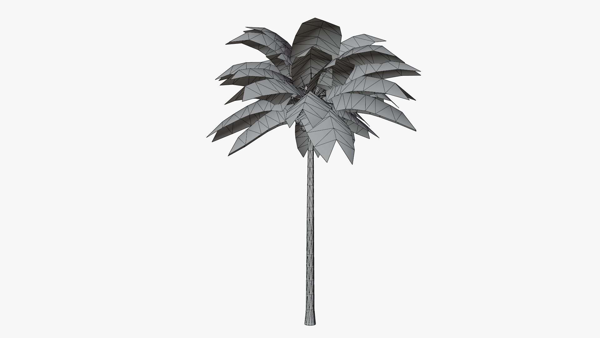 Lowpoly Coconut Palm v1 Low-poly 3D model_14
