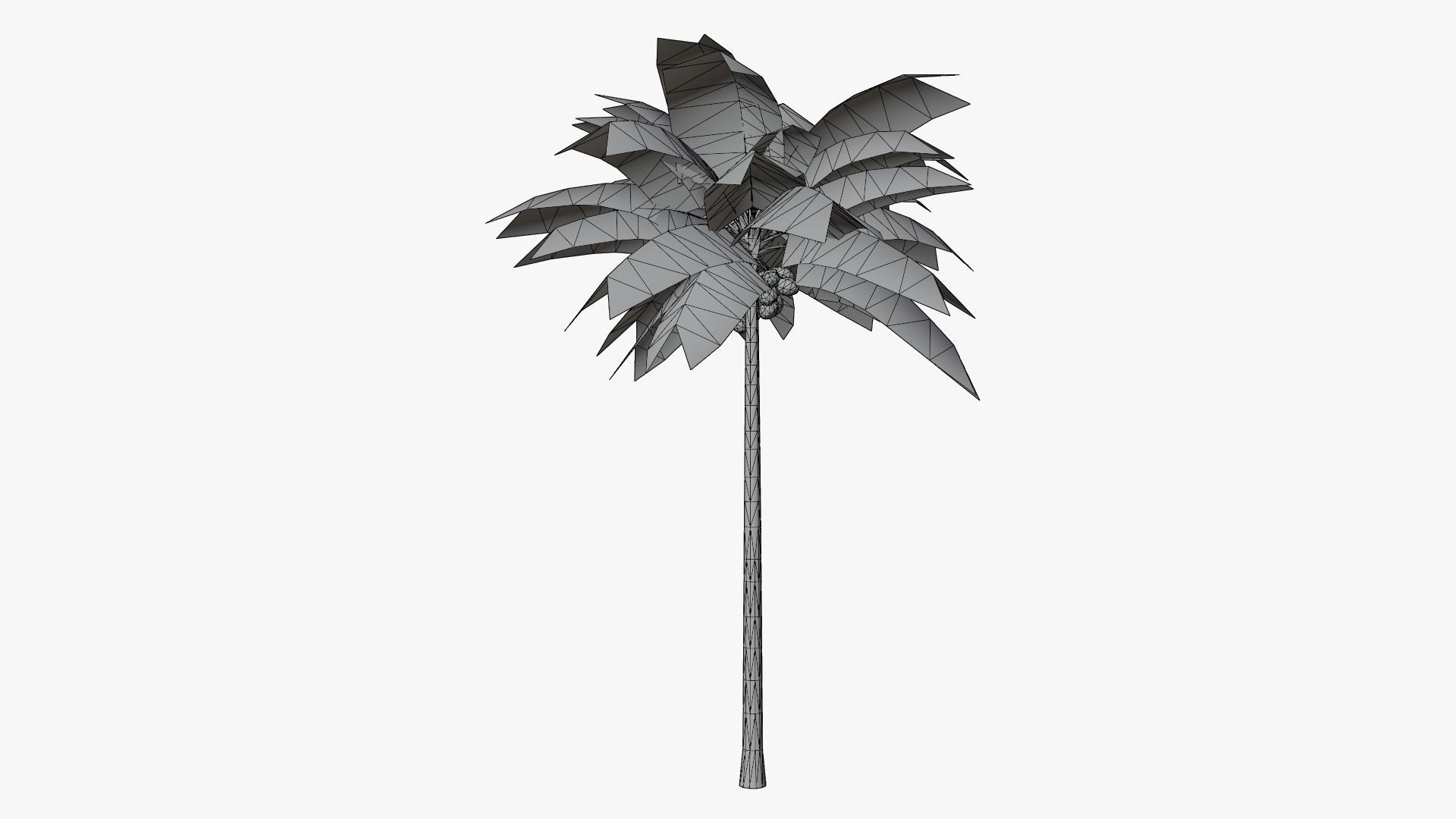Lowpoly Coconut Palm v1 Low-poly 3D model_17
