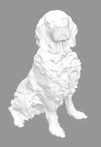 Cocker spaniel 3D model