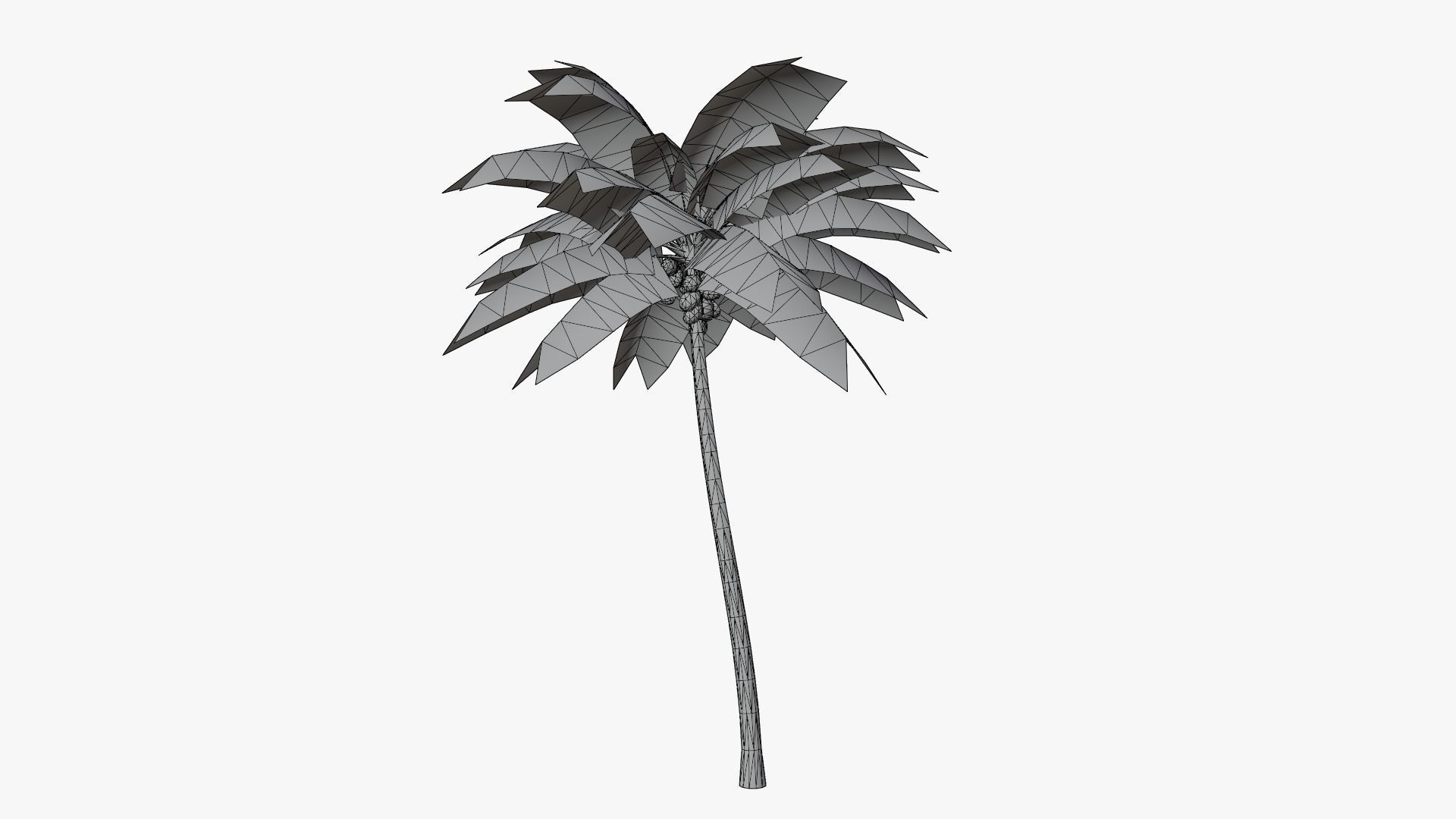 Lowpoly Coconut Palm v2 Low-poly 3D model_11