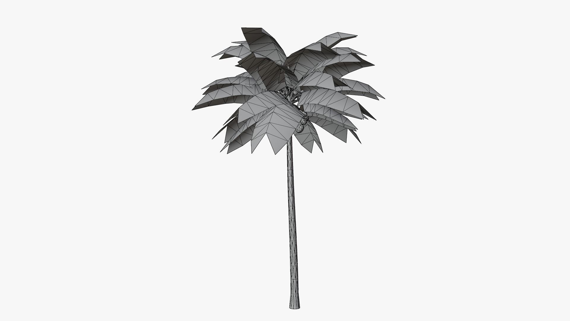 Lowpoly Coconut Palm v2 Low-poly 3D model_8