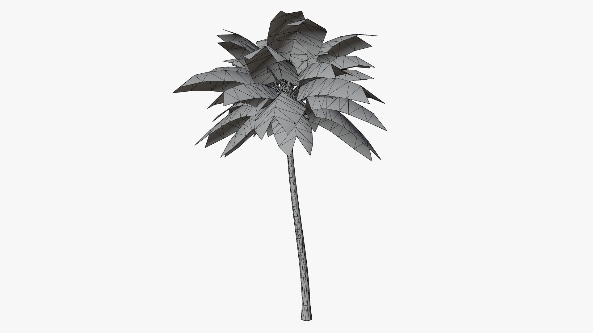 Lowpoly Coconut Palm v2 Low-poly 3D model_14