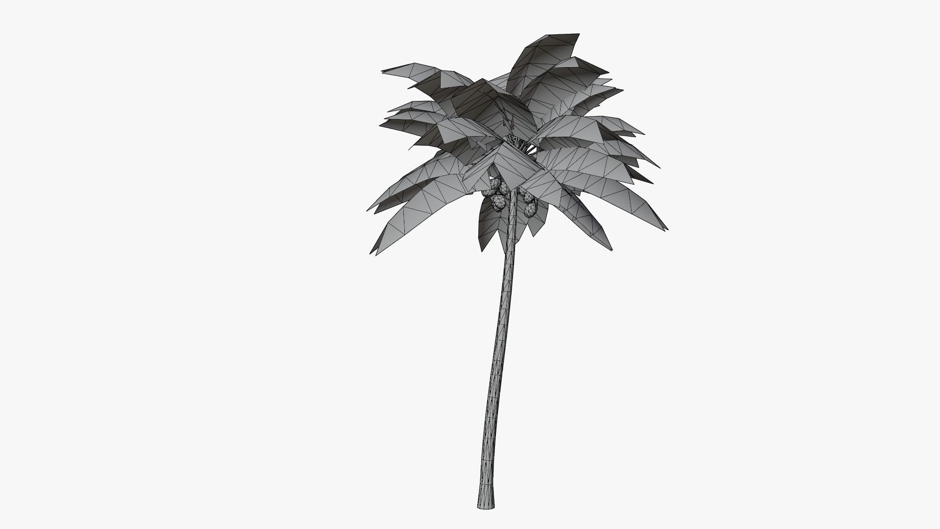 Lowpoly Coconut Palm v2 Low-poly 3D model_5