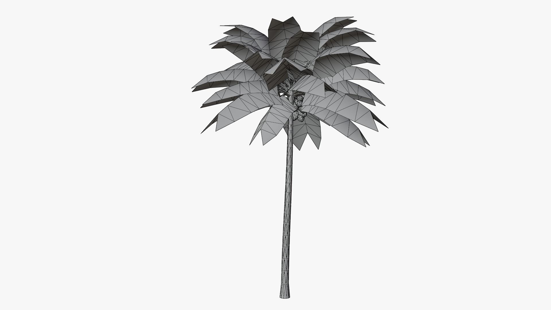 Lowpoly Coconut Palm v2 Low-poly 3D model_17