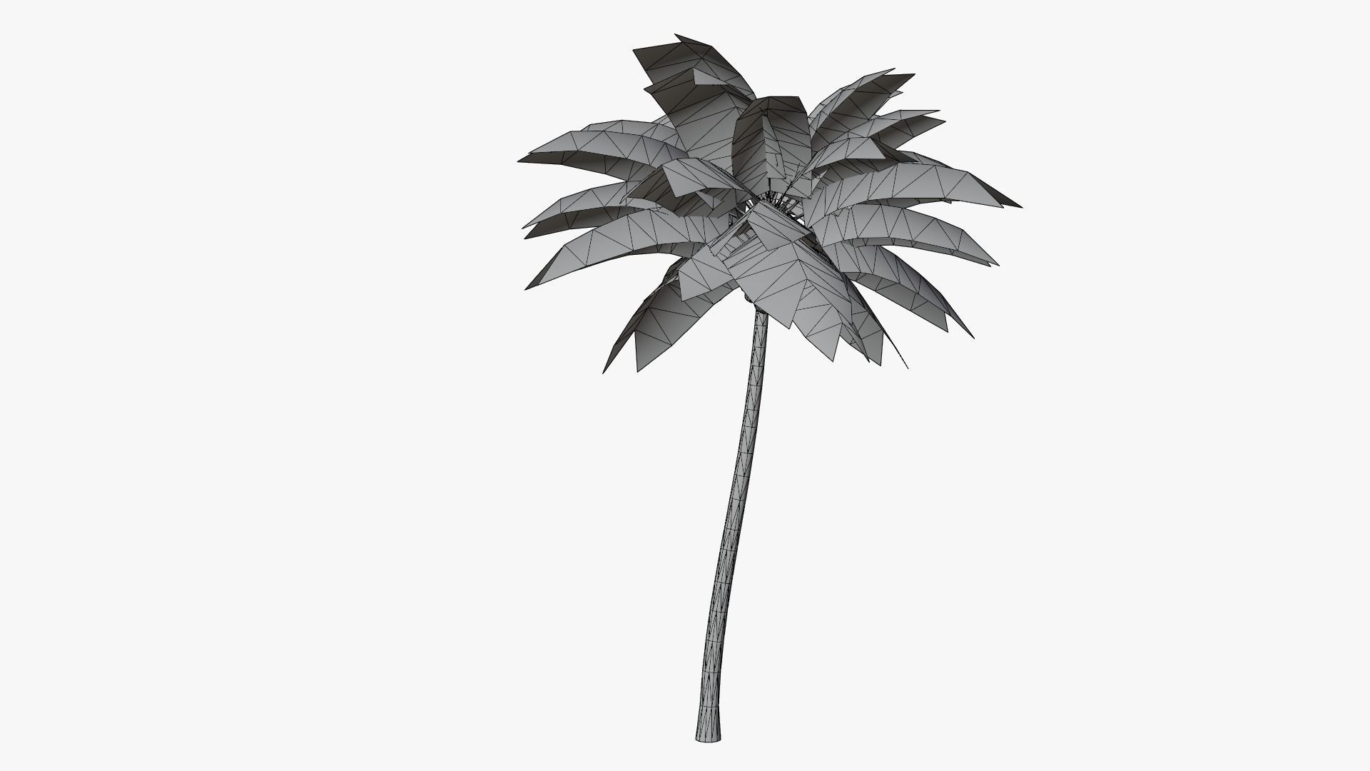 Lowpoly Coconut Palm v2 Low-poly 3D model_2
